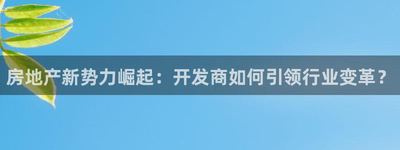 风暴娱乐地5指尖：房地产新势力崛起：开发商如何引领行业变革？