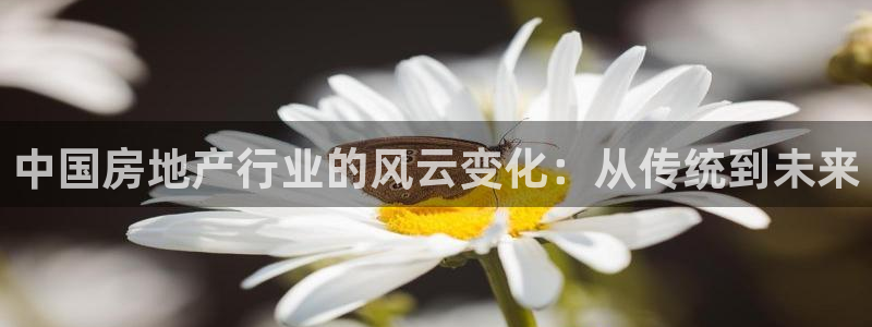 风暴娱乐图片：中国房地产行业的风云变化：从传统到未来