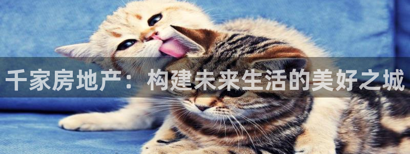 风暴娱乐字图片大全：千家房地产：构建未来生活的美好之城