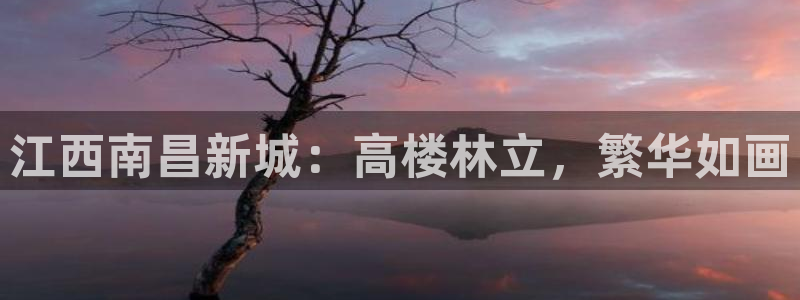 风暴大厅娱乐：江西南昌新城：高楼林立，繁华如画