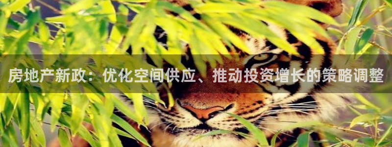风暴娱乐拉菲8：房地产新政：优化空间供应、推动投资增长的策略