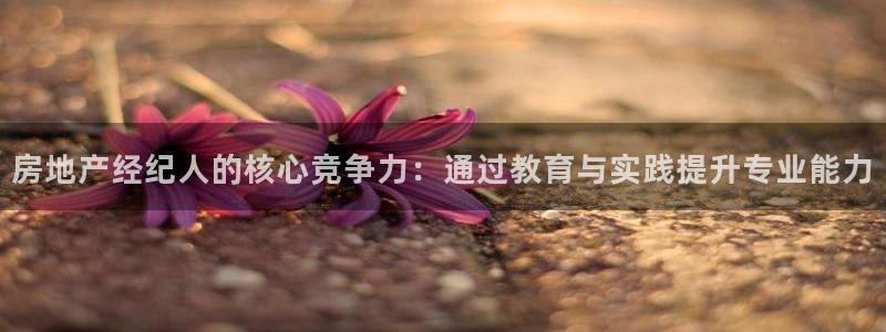 风暴娱乐左5指尖：房地产经纪人的核心竞争力：通过教育与实践提