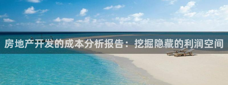 风暴娱乐客服：房地产开发的成本分析报告：挖掘隐藏的利润空间