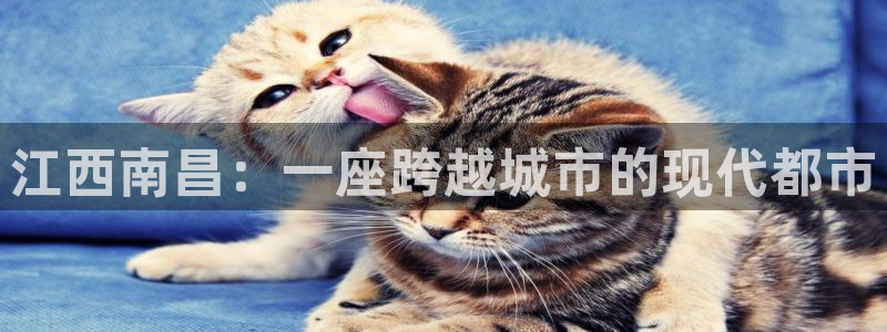 风暴娱乐主管是谁：江西南昌：一座跨越城市的现代都市