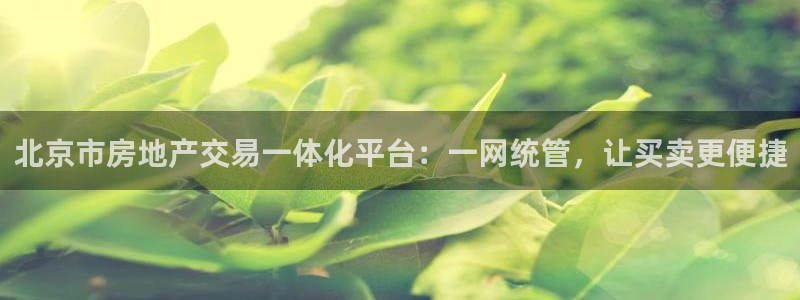 风暴娱乐眼：北京市房地产交易一体化平台：一网统管，让买卖更便
