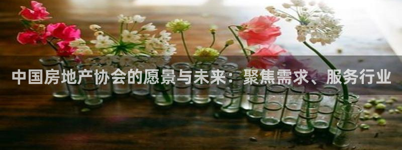 风暴平娱乐：中国房地产协会的愿景与未来：聚焦需求、服务行业
