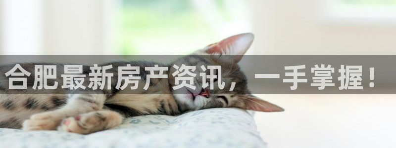 风暴娱乐代理登录：合肥最新房产资讯，一手掌握！