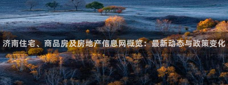 星风暴娱乐：济南住宅、商品房及房地产信息网概览：最新动态与政