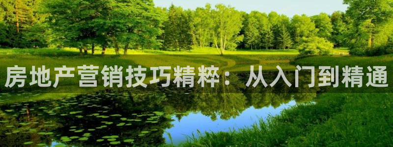 风暴娱乐5O6917：房地产营销技巧精粹：从入门到精通