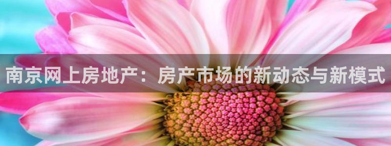 风暴娱乐自动挂：南京网上房地产：房产市场的新动态与新模式