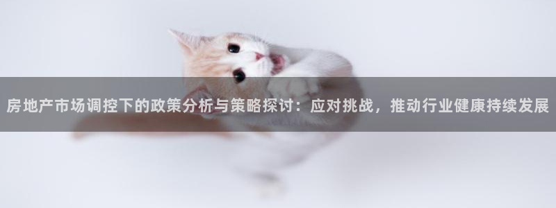 光风暴娱乐：房地产市场调控下的政策分析与策略探讨：应对挑战，