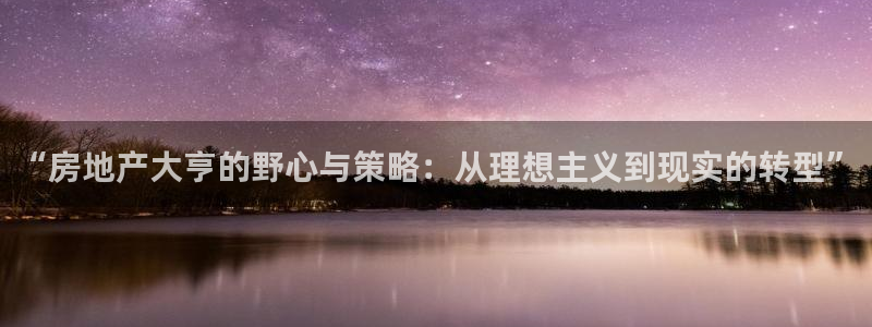 风暴娱乐 北京：“房地产大亨的野心与策略：从理想主义到现实的