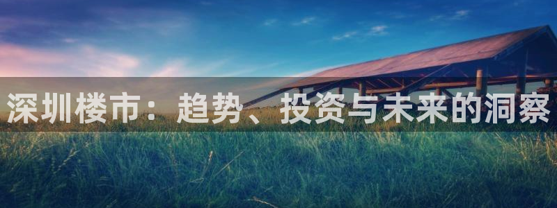 风暴娱乐园：深圳楼市：趋势、投资与未来的洞察