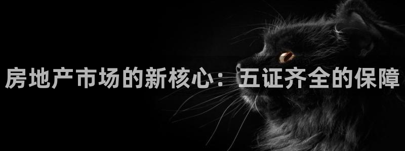风暴娱乐记：房地产市场的新核心：五证齐全的保障