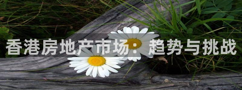 万万娱乐风暴：香港房地产市场：趋势与挑战