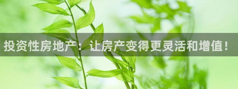 下载风暴娱乐：投资性房地产：让房产变得更灵活和增值！