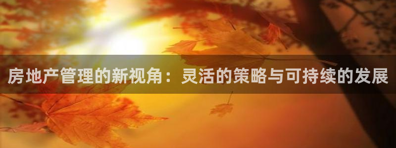 风暴娱乐平台官网登陆：房地产管理的新视角：灵活的策略与可持续