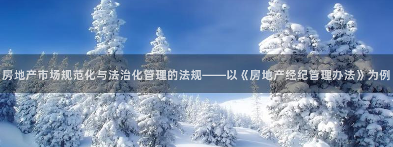 风暴娱乐老板：房地产市场规范化与法治化管理的法规——以《房地