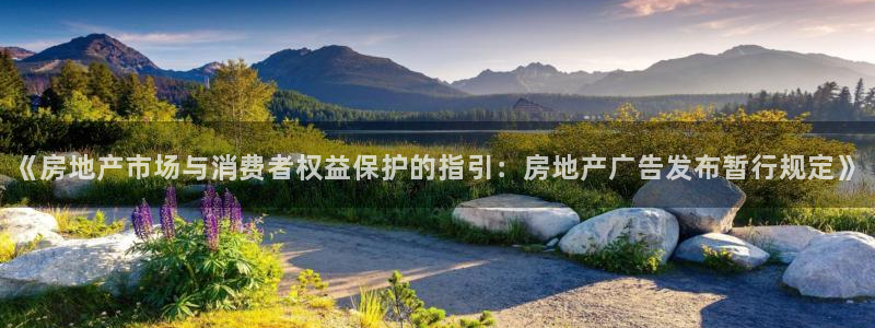 风暴娱乐这个平台靠谱：《房地产市场与消费者权益保护的指引：房