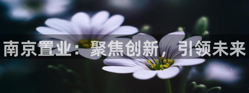 娱乐风暴合集：南京置业：聚焦创新，引领未来