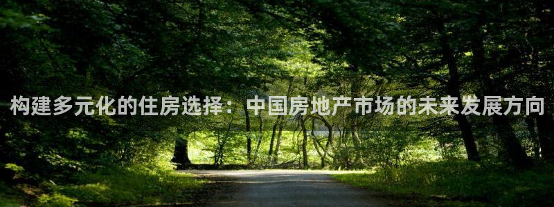 风暴眼娱乐：构建多元化的住房选择：中国房地产市场的未来发展方