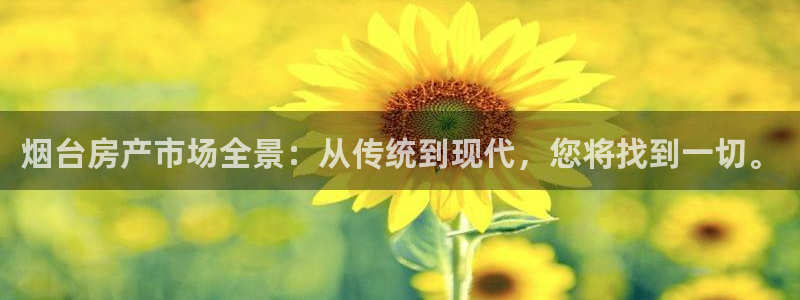 风暴娱乐拉菲8：烟台房产市场全景：从传统到现代，您将找到一切
