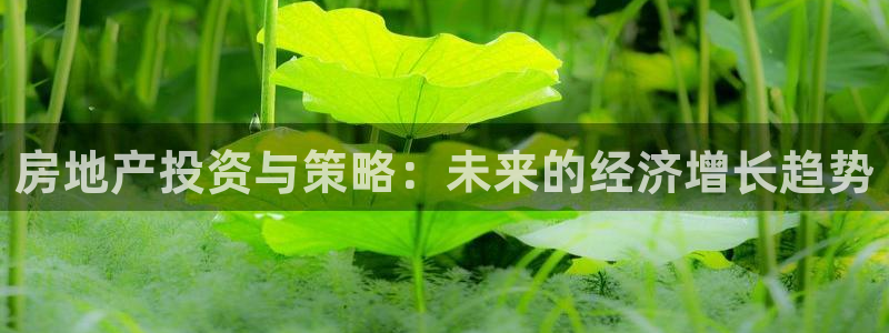 风暴娱乐代理登录：房地产投资与策略：未来的经济增长趋势