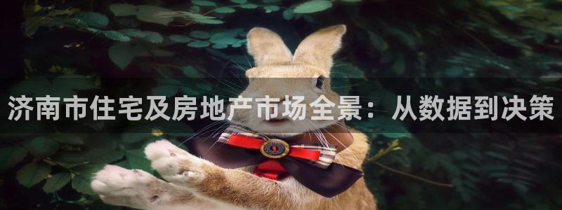 娱乐风暴二：济南市住宅及房地产市场全景：从数据到决策