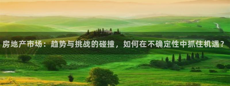 风暴娱乐下载地址：房地产市场：趋势与挑战的碰撞，如何在不确定