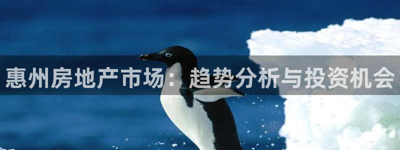 万万娱乐风暴：惠州房地产市场：趋势分析与投资机会