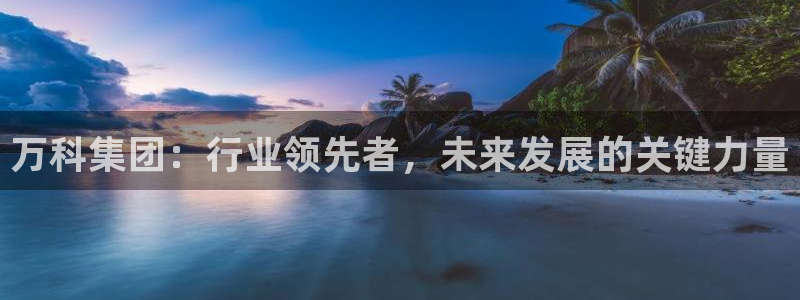 风暴娱乐部：万科集团：行业领先者，未来发展的关键力量