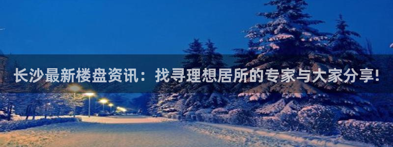 风暴娱乐平台地址