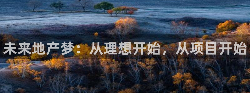 风暴娱乐去人l8888：未来地产梦：从理想开始，从项目开始