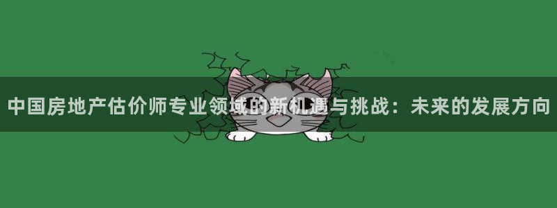 风暴娱乐左5指尖：中国房地产估价师专业领域的新机遇与挑战：未
