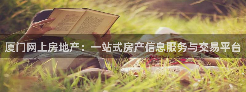 娱乐风暴二：厦门网上房地产：一站式房产信息服务与交易平台