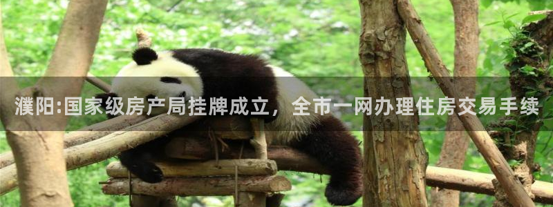 风暴娱乐 风暴注册平台：濮阳:国家级房产局挂牌成立，全市一网