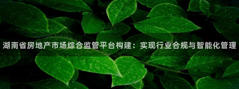 风暴娱乐1980：湖南省房地产市场综合监管平台构建：实现行业