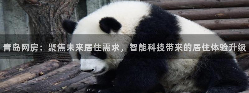 风暴娱乐月5指尖：青岛网房：聚焦未来居住需求，智能科技带来的