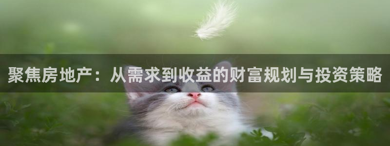 风暴娱乐344272：聚焦房地产：从需求到收益的财富规划与投