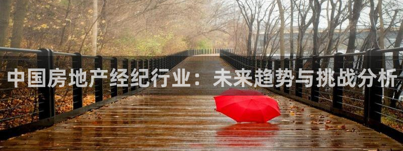 风暴娱乐拉菲8：中国房地产经纪行业：未来趋势与挑战分析
