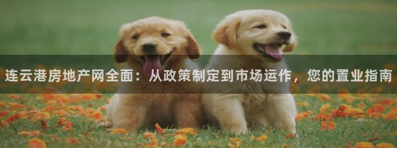 娱乐风暴开头：连云港房地产网全面：从政策制定到市场运作，您的