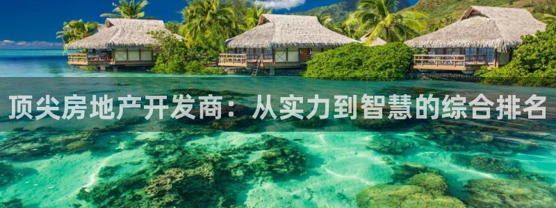 风暴英雄娱乐：顶尖房地产开发商：从实力到智慧的综合排名