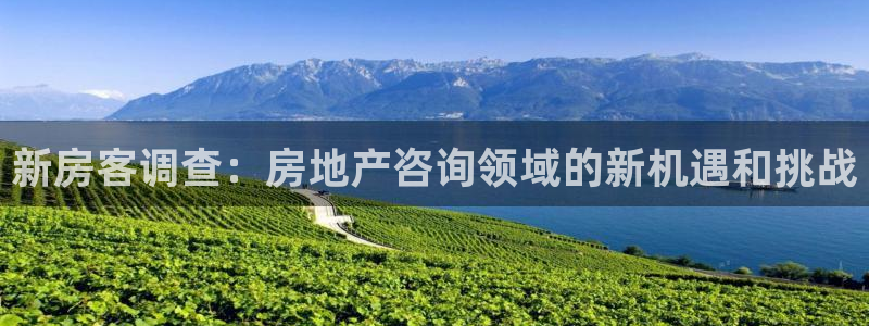 风暴娱乐 平台首页：新房客调查：房地产咨询领域的新机遇和挑战