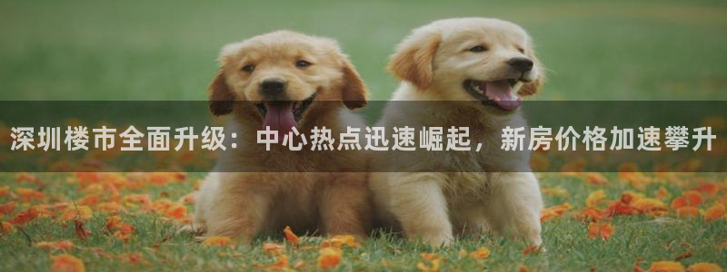 风暴娱乐月5指尖：深圳楼市全面升级：中心热点迅速崛起，新房价