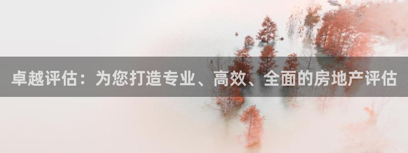 风暴娱乐图片：卓越评估：为您打造专业、高效、全面的房地产评估