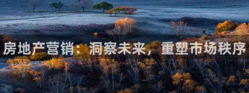 风暴娱乐注册网址：房地产营销：洞察未来，重塑市场秩序