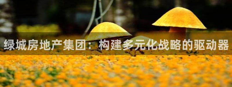 风暴娱乐平台官网登陆：绿城房地产集团：构建多元化战略的驱动器