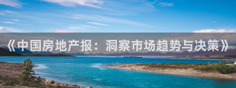 下载风暴娱乐：《中国房地产报：洞察市场趋势与决策》