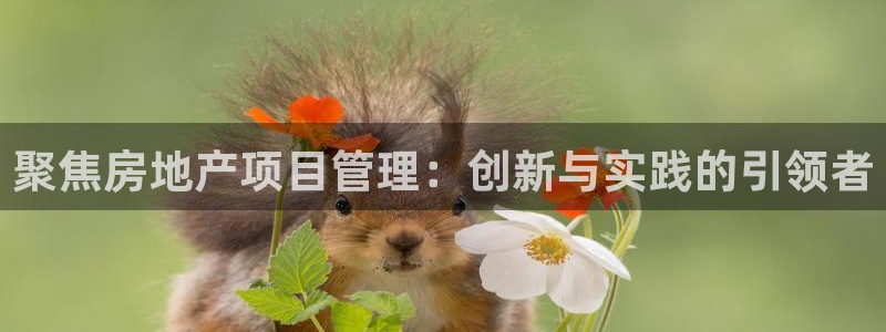 风暴娱乐官方网站：聚焦房地产项目管理：创新与实践的引领者