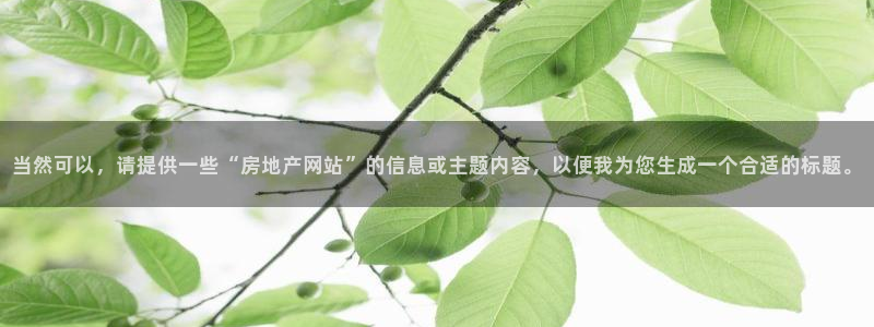 风暴娱乐地5指尖：当然可以，请提供一些“房地产网站”的信息或